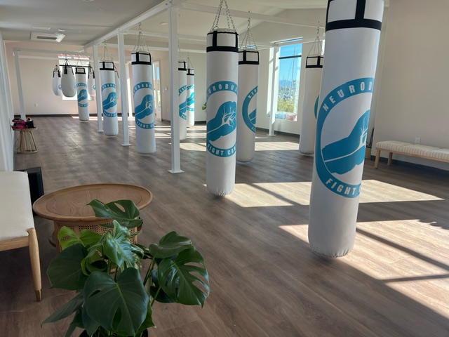 Inside the Portside Fitness studio: rows of suspended Neuroboxing heavy bags in a bright, sunlit room with wood floors.